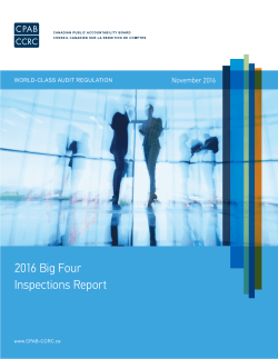 2016 Big Four Inspections Report - Canadian Public Accountability