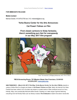 Cat Power! Felines on Film From classic cartoons to feisty