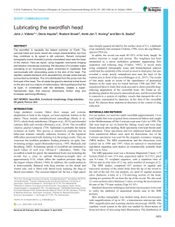 Lubricating the swordfish head - Journal of Experimental Biology