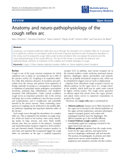 Anatomy and neuro-pathophysiology of the cough reflex arc