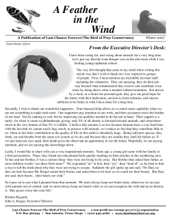A Feather in the Wind