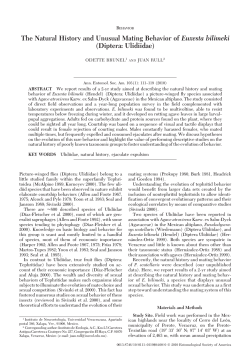 The Natural History and Unusual Mating Behavior of Euxesta bilimeki