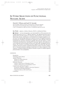 in vitro selection of functional nucleic acids