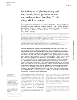Identification of phenotypically and functionally