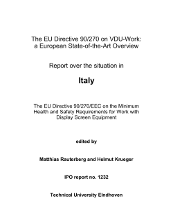The EU Directive 90/270 on VDU-Work: a European State-of