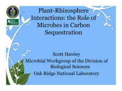 the Role of Microbes in Carbon Sequestration