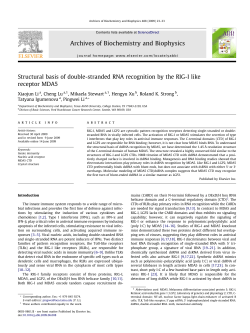 Structural basis of double-stranded RNA recognition by the RIG