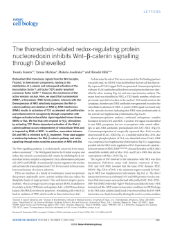 The thioredoxin-related redox-regulating protein nucleoredoxin
