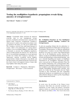 Testing the neoflightless hypothesis: propatagium reveals flying