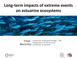 Long-term impacts of extreme events on estuarine ecosystems