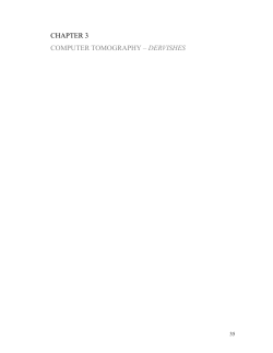 CHAPTER 3 CT - Marilene Oliver