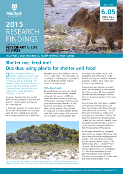 Quokkas using plants for shelter and food