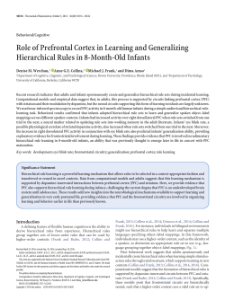Role of Prefrontal Cortex in Learning and