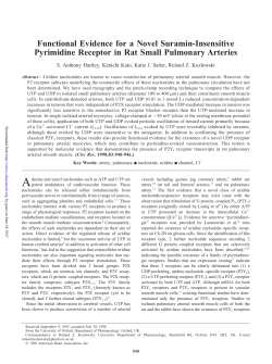 Functional Evidence for a Novel Suramin