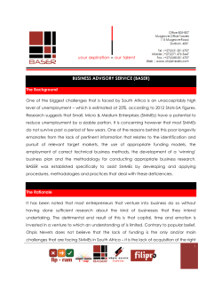 business advisory service (baser)