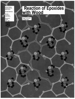 Reaction of Epoxides with Wood