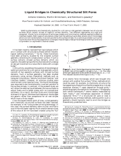 Liquid Bridges in Chemically Structured Slit Pores - Max