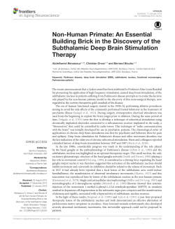 Non-Human Primate: An Essential Building Brick in the Discovery of