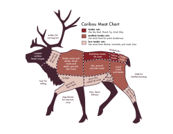 Caribou Meat Chart
