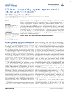 PGPRs and nitrogen-fixing legumes: a perfect team for efficient Cd