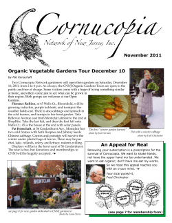 November 2011 Issue - Cornucopia Network