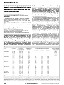 Growth processes in teeth distinguish modern humans
