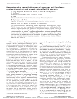 Shape-dependent magnetization reversal processes and flux
