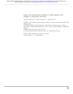 Large scale chromosome folding is stable against local