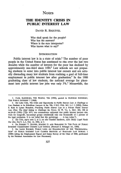 The Identity Crisis in Public Interest Law