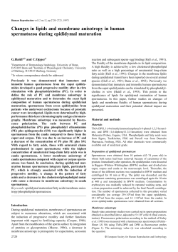 Changes in lipids and membrane anisotropy in human spermatozoa