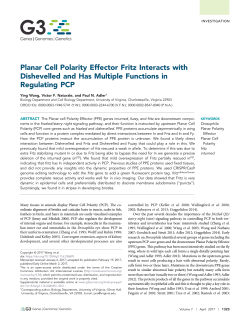 Full Text  - Genes | Genomes | Genetics