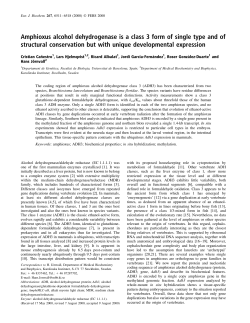 Amphioxus alcohol dehydrogenase is a class 3 form of single type