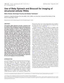 Use of Baby Spinach and Broccoli for imaging of structured cellular