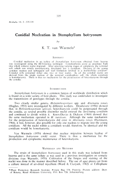 Conidial Nucleation in Stemphylium botryosum