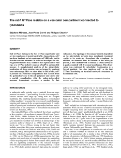 PDF - Journal of Cell Science