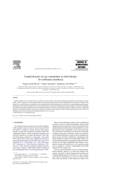 Caudal thoracic air sac cannulation in zebra finches for
