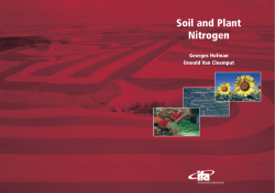 Soil Plant Nitrogen - International Fertilizer Industry Association