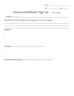 Osmosis and Diffusion &ldquo;Egg&rdquo; Lab Day 1 Vinegar