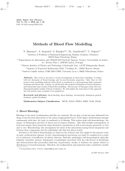 Methods of Blood Flow Modelling