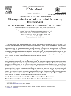 Microscopic, chemical and molecular methods for examining fossil