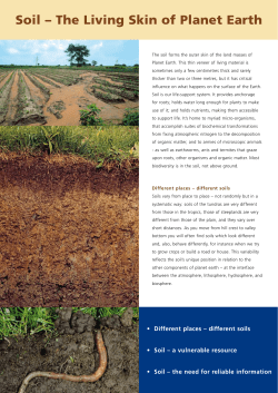 Soil &ndash; The Living Skin of Planet Earth