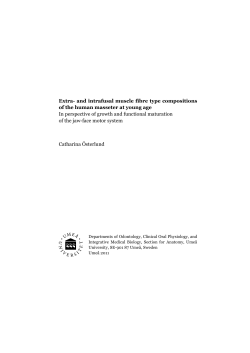 Extra- and intrafusal muscle fibre type compositions of the