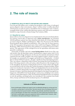 2. the role of insects - Food and Agriculture Organization of the