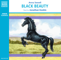 PDF booklet