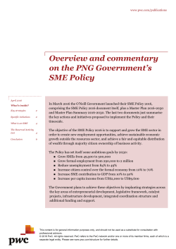 Overview and commentary on the PNG Government`s SME