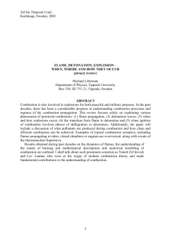 Combustion, flame, explosion, detonation: When, How, Why