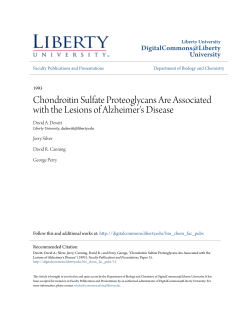 Chondroitin Sulfate Proteoglycans Are