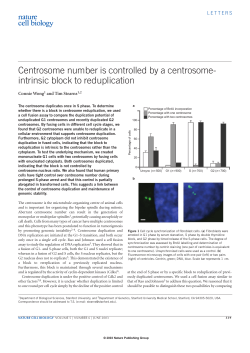 Centrosome number is controlled by a centrosome