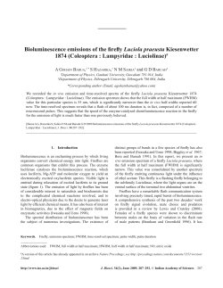Bioluminescence emissions of the firefly Luciola praeusta