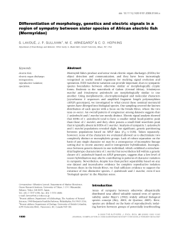 Differentiation of morphology, genetics and electric signals in a